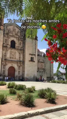 Trying to stick to 1 a night #hazotrotiktok #badbunnytok #viajerosmexicanos #viajerosmexico #pueblacity #oaxacacity😎 #guanajuatomx #michoacanmx