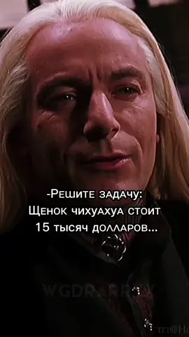 Нихуахуа!Спасибо всем за 3300 поттерманов!Нарезки@missis_malfoy0_0 #wgdraryx#missis_malfoy0_0#on #абоба #люблюсовихподписчиков#амбриджжаба