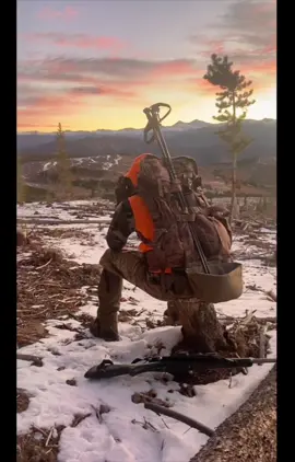 #hunting #elk #colorado