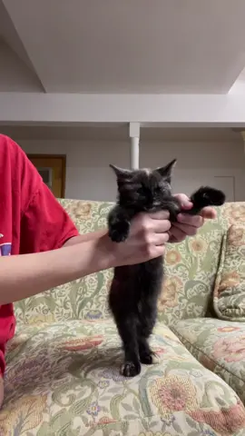 shes so embarassing she cant dance for shit