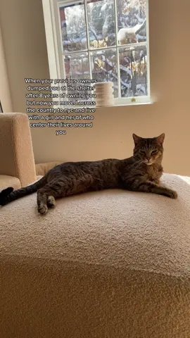 Spice is a city girl
