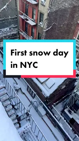 Snow day ❄️☃️