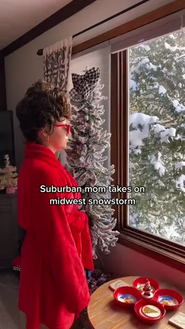 Dont ask me why my accent changes halfway through the video I honestly could not even tell you why #snowstorm #midwest #momlife