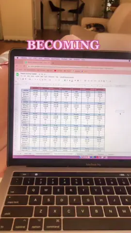Becoming *that* girl using spreadsheets: a series #adhd #thatgirl #fyp #LifeHack #activitytracker #adhdtok