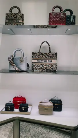 whats a life w no fun #fypp #dior2022 #luxurygirl #luxuryshopping #diorher #foryou