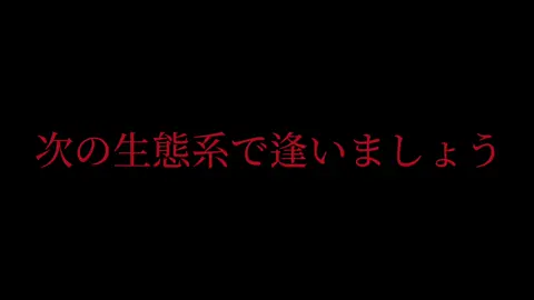リクエスト受け付けてません#同担拒否 #カラフルピーチ#だるまさんがころんだ#だるまさんがころんだ4