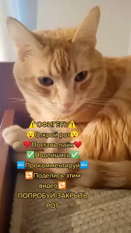 Получилось? 😳😉