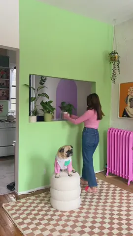 Another color change. What do you think?  #myhome #myhomestyle #myhomevibe #apartmentliving #nycapartment