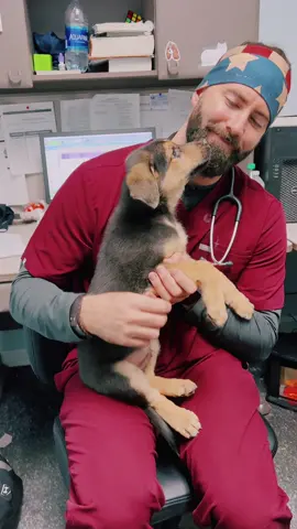 I’ll be there for them! #drtom #veterinarian #veterinariansoftiktok #animaldoctor #vetlife #viral #vibes #fyp #foryou #puppy #puppiesoftiktok