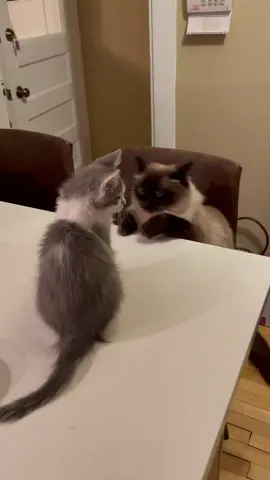 they love each other dw