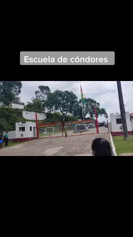 #escueladecondoresbolivianos #sanandita_escombol🦅
