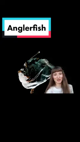 #greenscreen #slowzoom #sciencefacts #fyp #foryoupage #anglerfish #boostofhope #animallover #science #humbled #manifestation