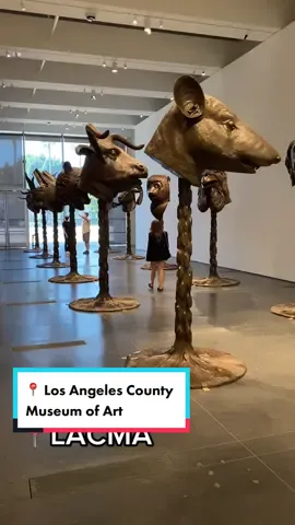 POV: We’re at the museum #LACMA #losangeles #thingstodoinla #museum #arttok #artist #aiweiwei #museumtok