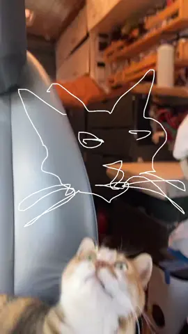 she is art #catsoftiktok