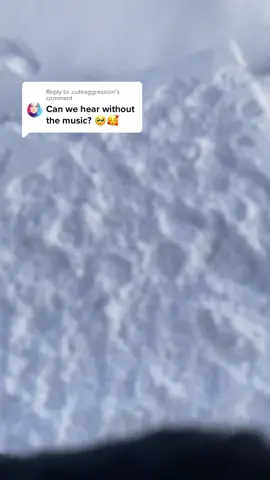 Reply to @.cuteaggression ignore the strange breathing and my dorky friends 😂😂😂 #snowfall #fy #Hiking