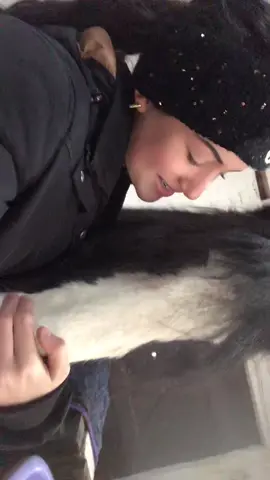 Got a nda pony but for my sister, we surprised her ❤️#foryou#equine#newpony#foryoupage#viral#4up