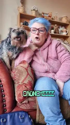 I gotta eat healthy, Edna will help... to a point.... #cronchie #dogsofttiktok #ficklefriend #Edna