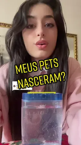Reply to @priscilamendonca39 aaaa virei mamãe kakaka 🥺 #foryoupage