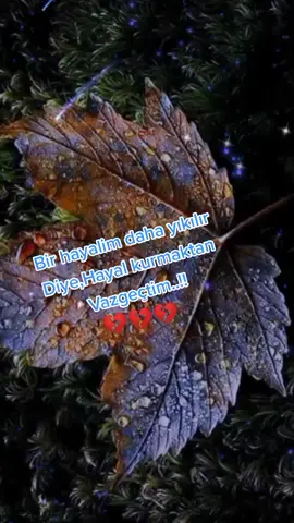 yaralanmış şu gönlümde Bir suçlu var oda sensin#🎶🎶🎶🎶🎶🎶 #🥀🥀🥀🥀🥀 #kartanem4152