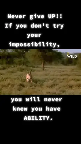 #NeverGiveUp#Facethefear