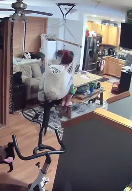 Better angle of my cat assaulting me 💀 #ring #ringdoorbell #catsoftiktok #2022