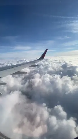 #самолеты #самолет #красивыйвид #видизокна #видизсамолёта #небоголубое #облака #полет