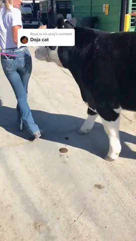 Reply to @lila.okay #fyp #foryou #cow #cowboy #stockmob #foryoupage #utah #animals