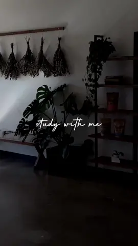 📍 XO Coffee Shop in Kissimmee, FL #orlandocoffeespots #studywithme #gradschoolcheck #xocoffeeshop #minivlog