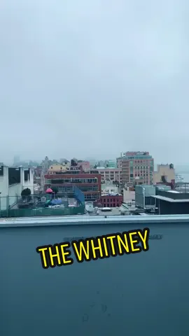 The Whitney vlog 😀 #thewhitneymuseum