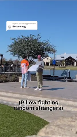 Reply to @become.egg Ref was unfair: @john_a_w  #strangers #pillowfight