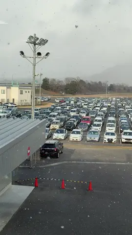 Japan Car Auction  🇯🇵❤️ #hiroshima #japan #carsauction #carlovers #cars #fresh #port #custom #classic #import #japanese #japanesecars #imported