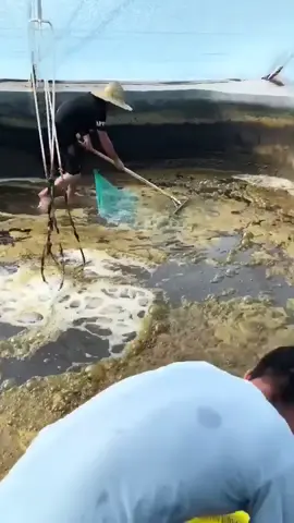 Wait for it..
