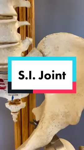 #AnatomyClass #SIJointDysfunction #SIJointPain# #ScienceClass