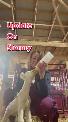 #answer to @jmtemond  sometimes letting go is best for everyone ❤️#lambing #lambingseason #sheep #sheepfarm #sheepfarmer #Vlog