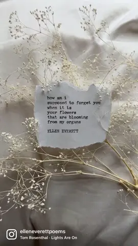save and send to someone who is going through something 💔 #poetry #isawyouasaflower #poetrytok #poetrytiktok #sadpoetry #heartbreakpoetry