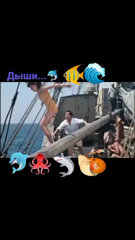 #дышисомной#серебро#группа #песниолюбви