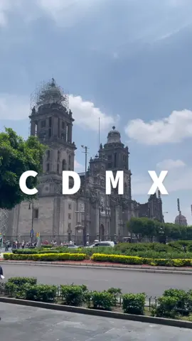 The urge to go back to Mexico City 😢