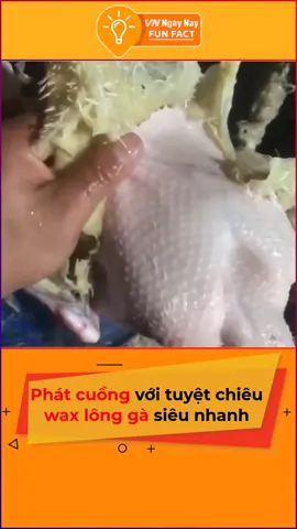 Vậy rồi đây là nhổ lông hay là đang wax lông đây mấy chị em #vnnn #vnnnfunfact #tiktoknews #funny #onhaxemtin #tethungkhoi #tiktoktet2022 #foryou #fyp
