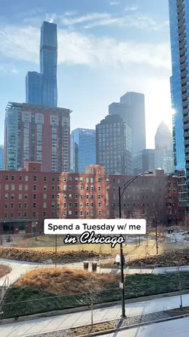 Tuesday recap in Chicago 🤍🐾 #chicagodayinmylife #streetervillechicago #chicagolivin #chicagotiktok #chicagovlogs #chicago