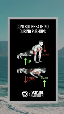 Looking to get that dream body of yours?Follow For More📝#calisthenics #discipline #grindtok #gym #fyp