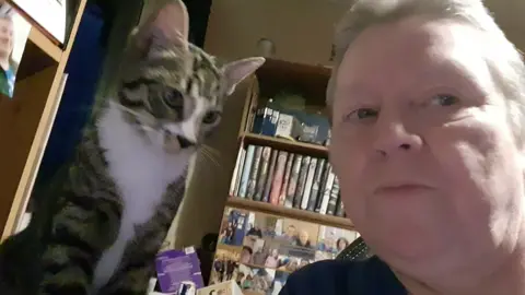 #Love #kittensoftiktok #catsoftiktok #cat