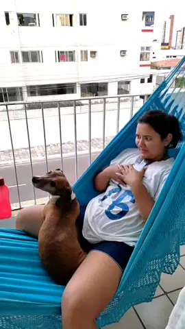 #pet #2022 #familia #crispim #fofoqueiro #curioso #cachorro