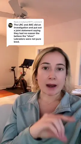 Reply to @babykas1977 #silverlab #fyp #storytime #dogtok #purebreddogs #CloseYourRings #ethicalbreeding #adoptorshopresponsibly #adoptdontshop
