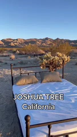 This was such a relaxing vacation 💛#joshuatree #airbnb #joshuatreeairbnb #travel #fyp