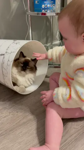 I'd love to use this trash can, but Nymeria has claimed it. Anything I put in there doesn't stay for long