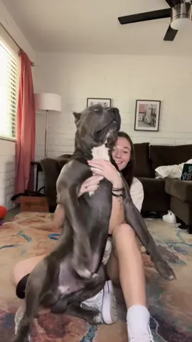 big goober!!! #bigdog #dogs #dog #cute