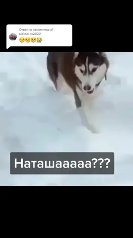 Ответ пользователю @aleksei.ru2020 #настроение #сюморомпожизни #всякаяфигня #наташка