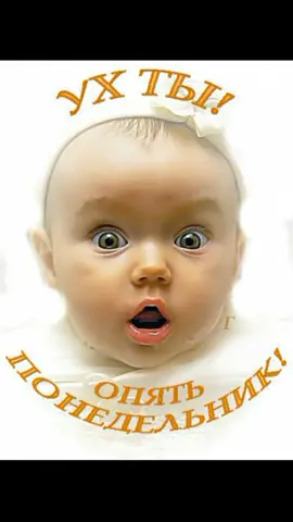 Отличного понедельника!👍👍👍