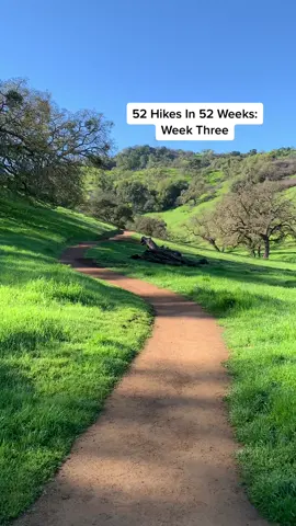 52 Hikes In 52 Weeks: Arrowhead Loop Trail #BayArea #Hiking #Conservation #California #Picasso