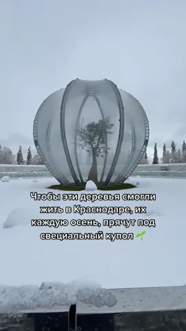 Парк Галицкого, Краснодар #Краснодар #краснодарскийкрай #краснодар2022 #паркгалицкого #паркгалицкогокраснодар